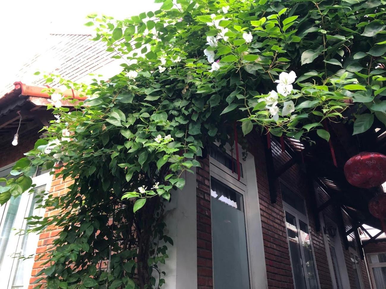 Q'Tropical Garden Homestay Hue Exterior foto